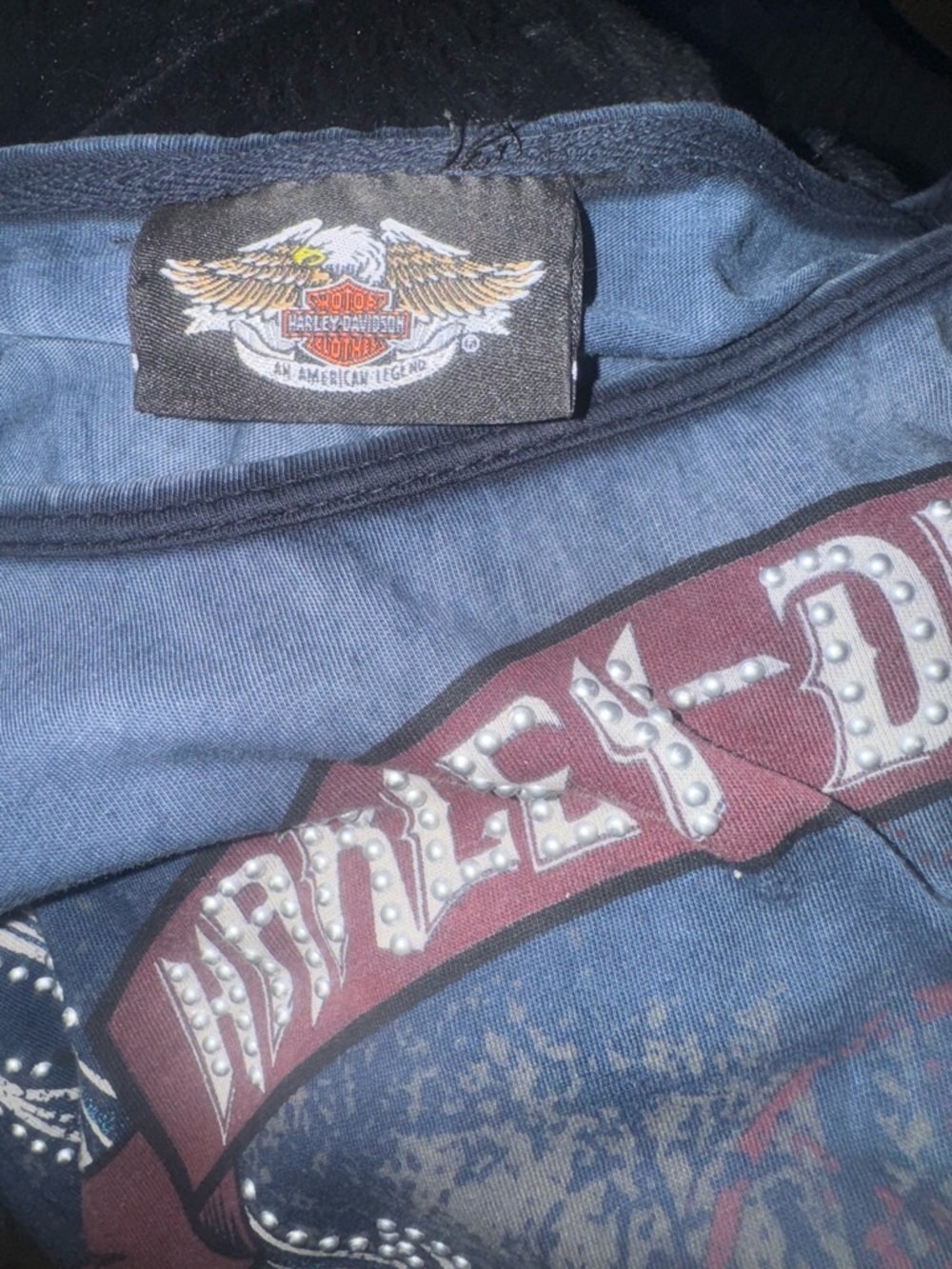 Harley-Davidson Navy and Silver Wing Graphic Tee - Picture 5 of 5